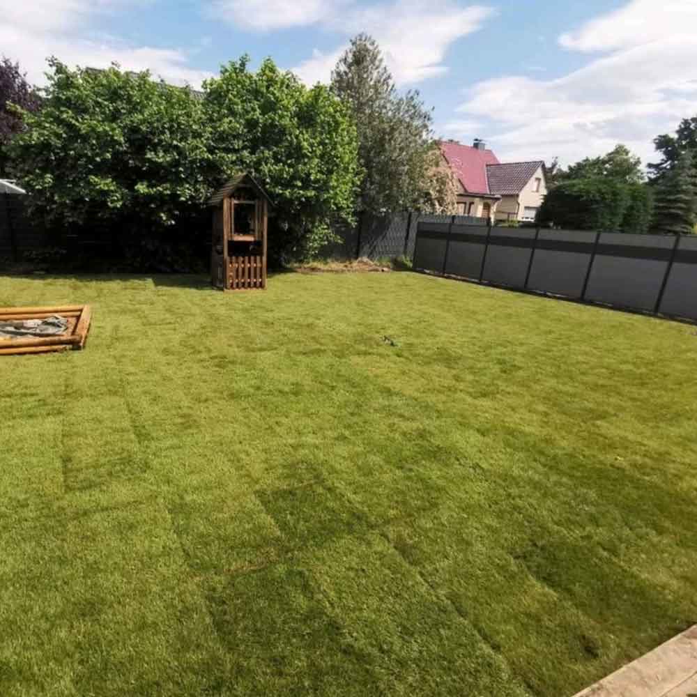 Gartenumbau nachher: neue Rasenfläche mit Beeten